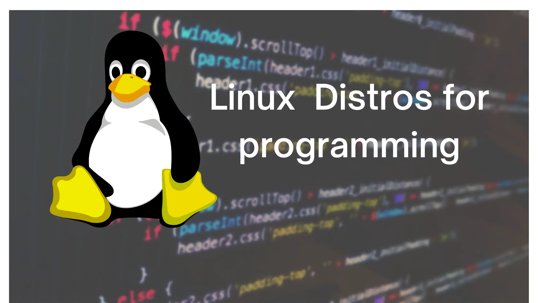 Linux distros for programming