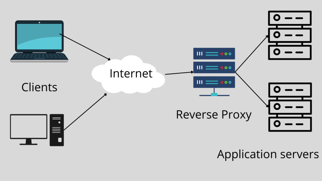 nginx reverse proxy