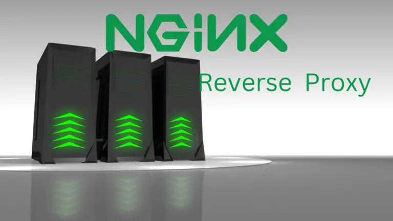 How To Set up Nginx as a Reverse Proxy
