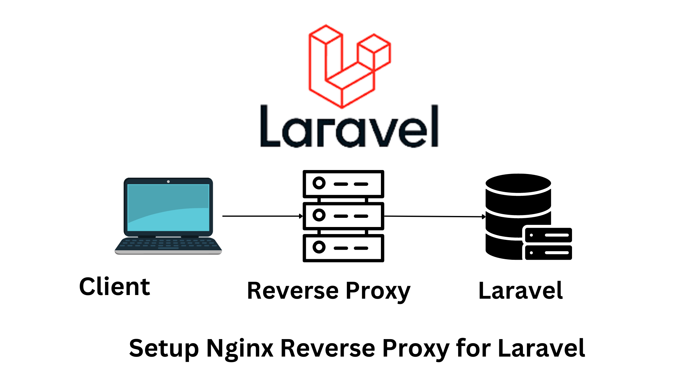 Setup Nginx Reverse Proxy for Laravel